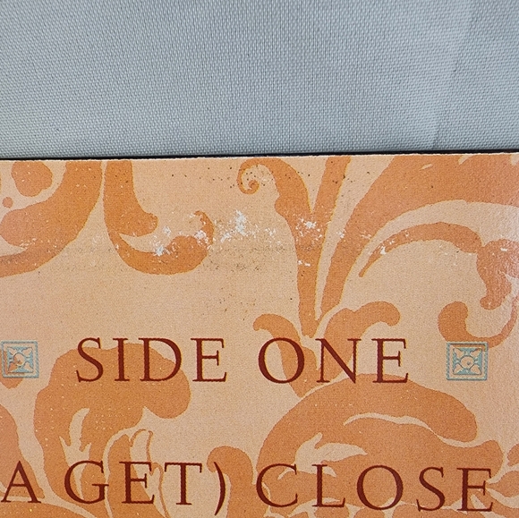 1987 Vaneese 12" LP Album Vinyl Record Geffen Records - Picture 4 of 10